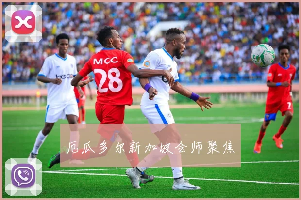 厄瓜多尔新加坡会师聚焦