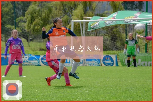 辛杜状态火热