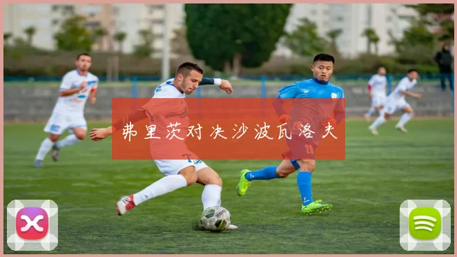 弗里茨对决沙波瓦洛夫