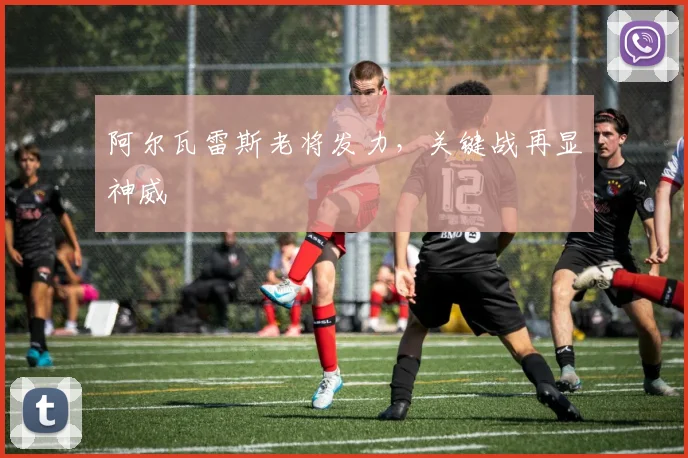 阿尔瓦雷斯老将发力，关键战再显神威
