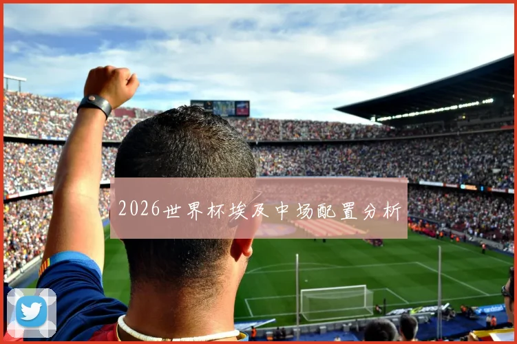 2026世界杯埃及中场配置分析