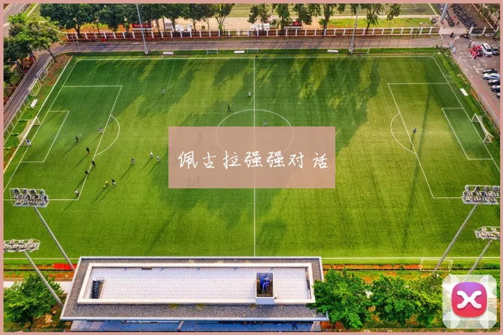 佩古拉强强对话