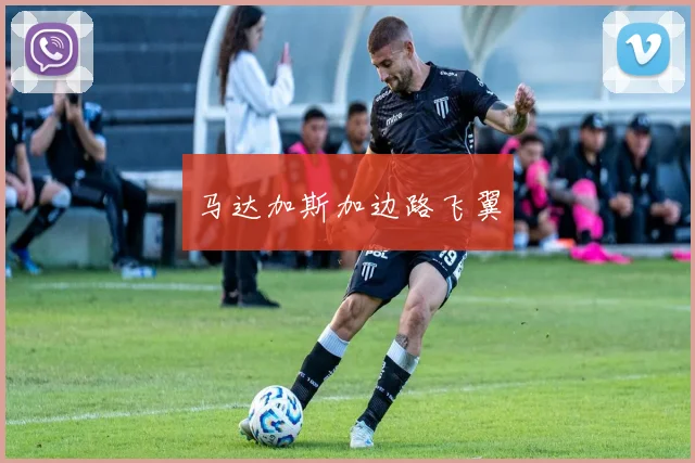 马达加斯加边路飞翼