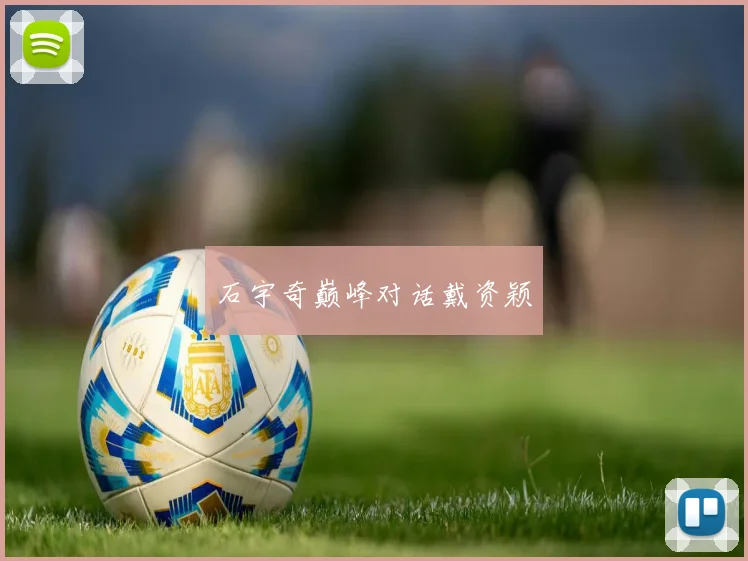 石宇奇巅峰对话戴资颖