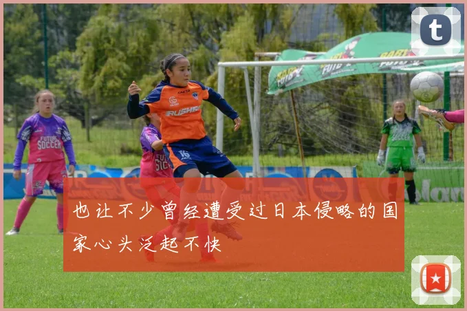 也让不少曾经遭受过日本侵略的国家心头泛起不快