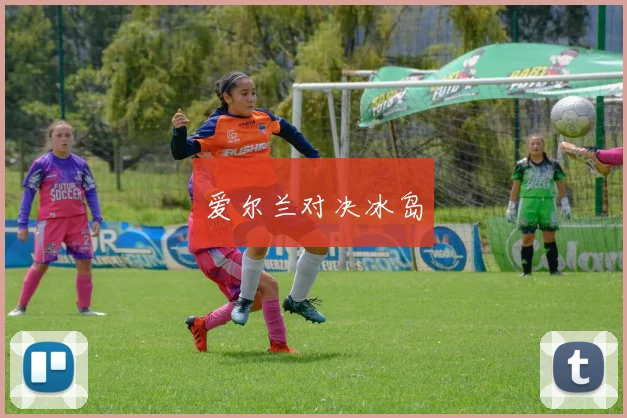 爱尔兰对决冰岛