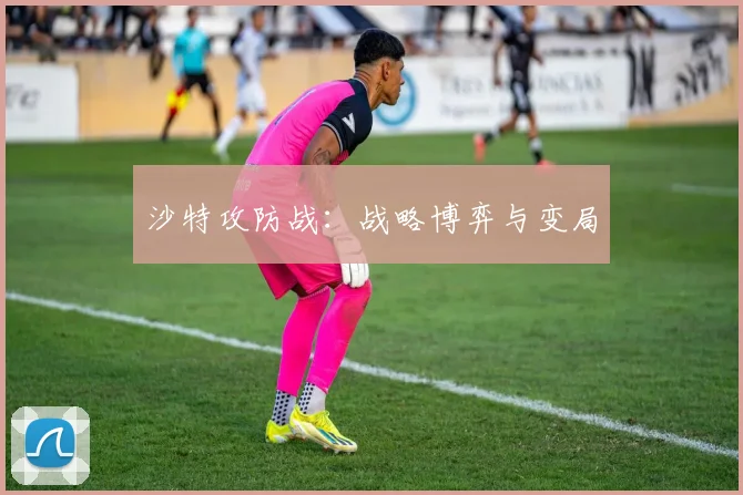 沙特攻防战：战略博弈与变局