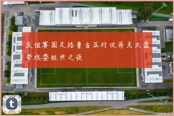 友谊赛国足格鲁吉亚对攻蒋光太盘带戏耍经典之夜