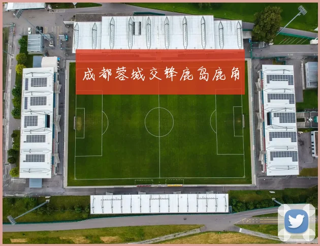成都蓉城交锋鹿岛鹿角