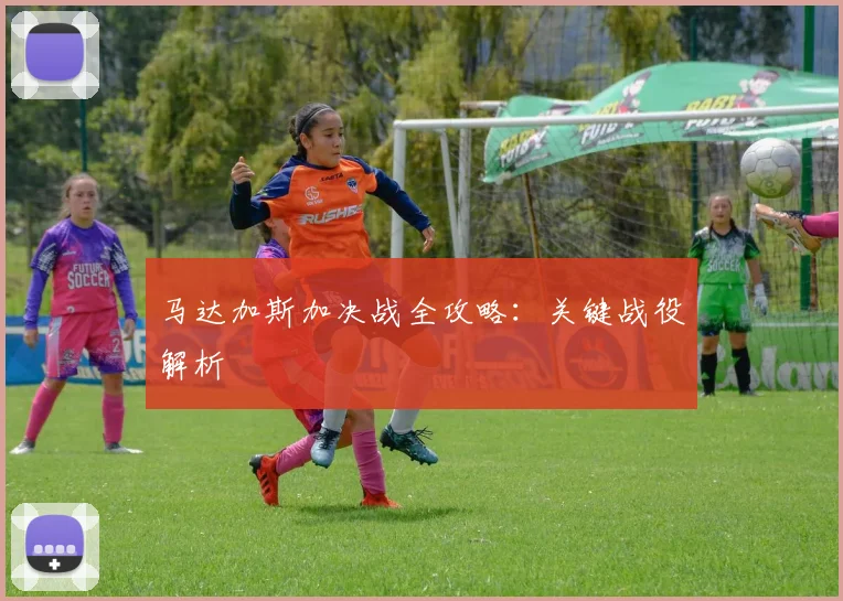 马达加斯加决战全攻略：关键战役解析