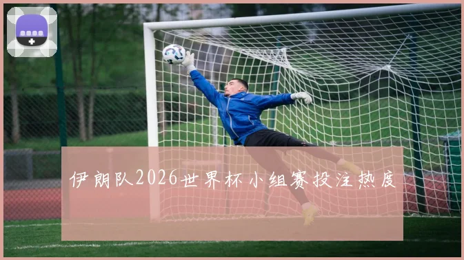 伊朗队2026世界杯小组赛投注热度