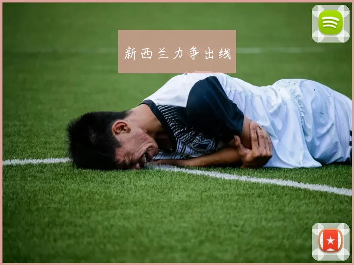 新西兰力争出线