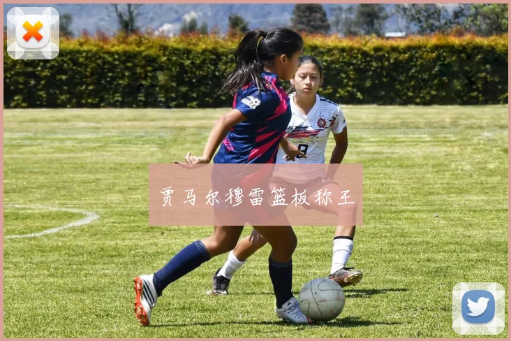 贾马尔穆雷篮板称王