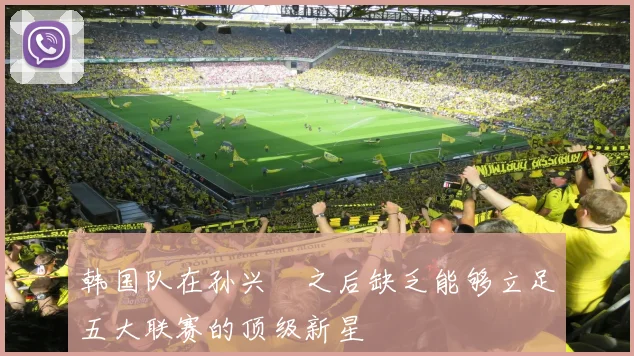 韩国队在孙兴慜之后缺乏能够立足五大联赛的顶级新星