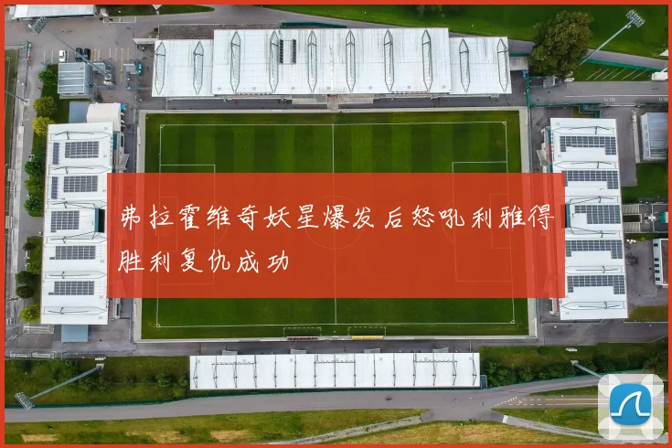 弗拉霍维奇妖星爆发后怒吼利雅得胜利复仇成功