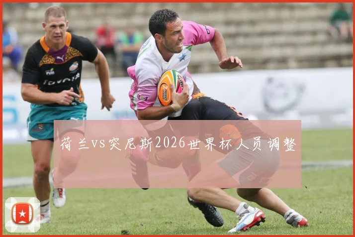 荷兰vs突尼斯2026世界杯人员调整