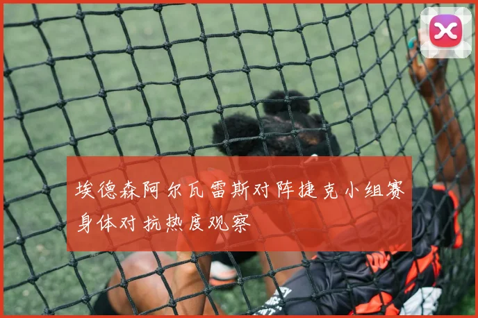 埃德森阿尔瓦雷斯对阵捷克小组赛身体对抗热度观察