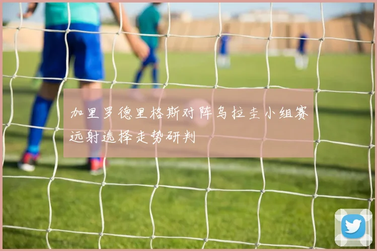 加里罗德里格斯对阵乌拉圭小组赛远射选择走势研判