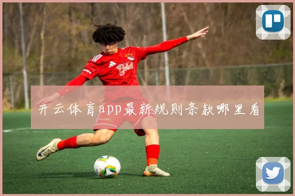 开云体育app最新规则条款哪里看
